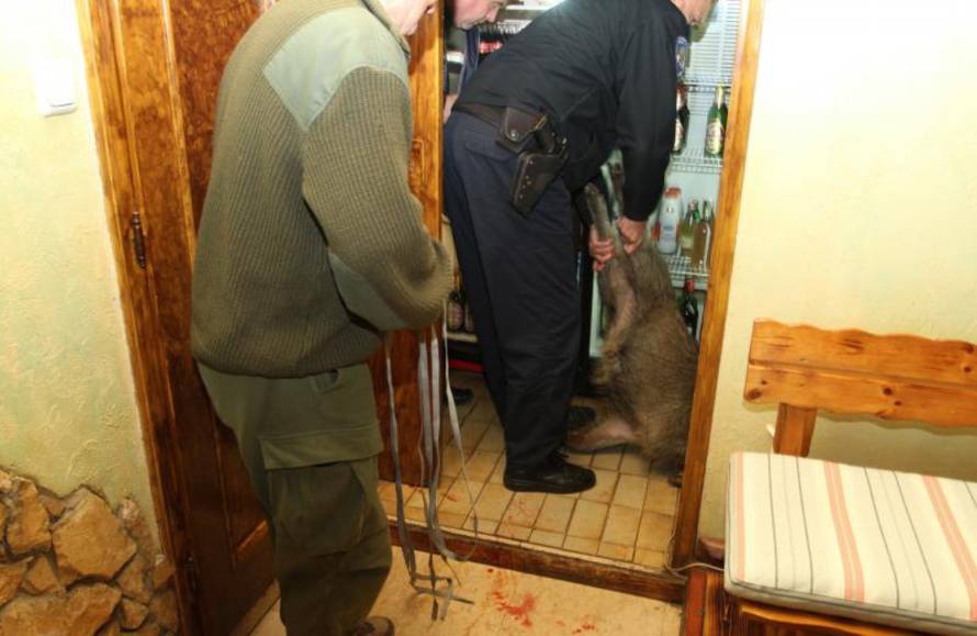 Kristina Štedul-Fabac/PIXSELL