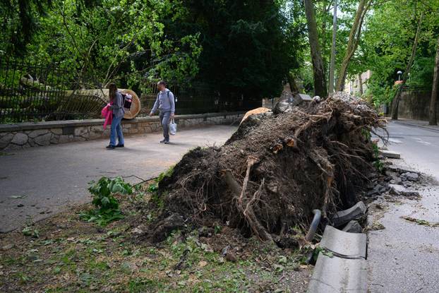 Zagreb: Veliko stablo srušilo se u Tuškancu i oštetilo ogradu kod javne garaže
