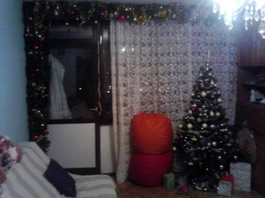 Šaljite fotografije božićnih jelki i osvojite vrijednu nagradu...