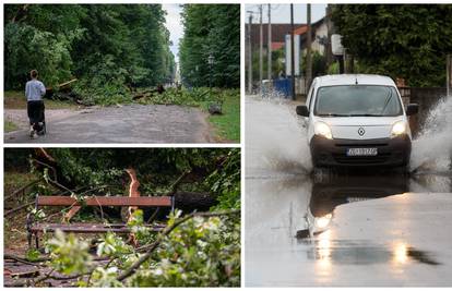 FOTO Pogledajte štetu u parku Maksimir. Oluja izbijala šahtove