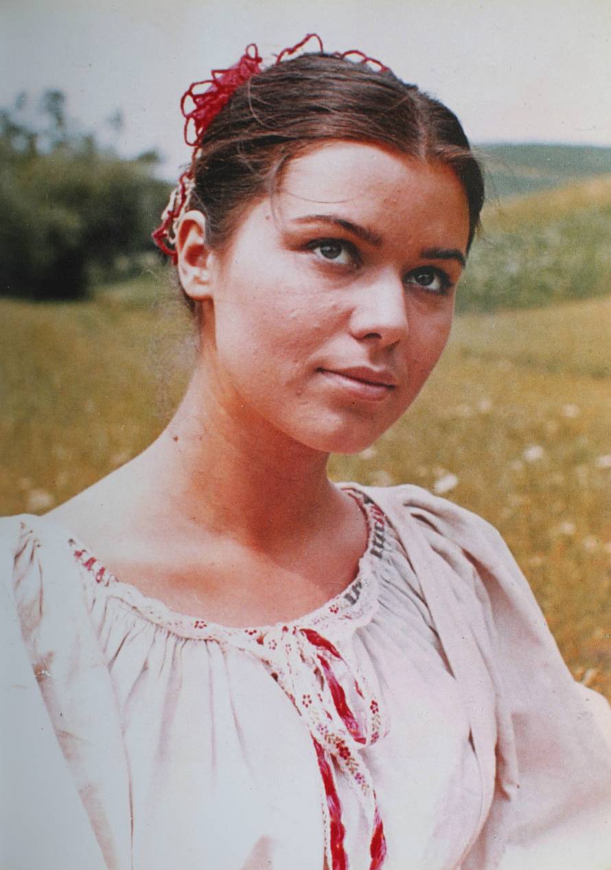 Zagreb: Monografija Vlaste Knezovi?