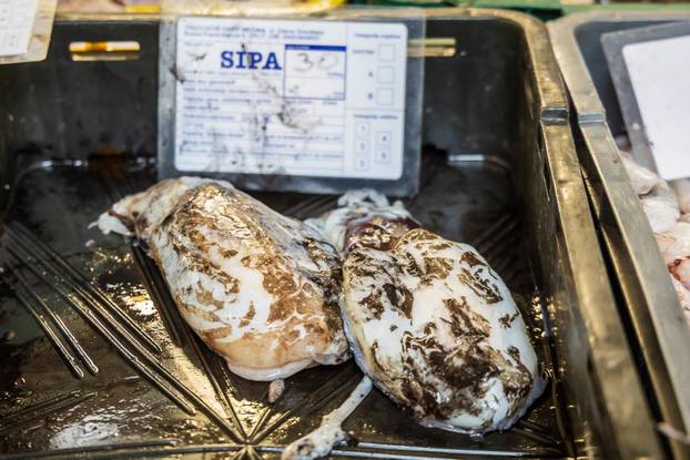 Split: Bogata ponuda ribe petkom u splitskoj ribarnici