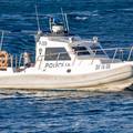 Žena se utapala kod Makarske, policajac pucao u zrak kako bi dozvao brod. Spasili su je