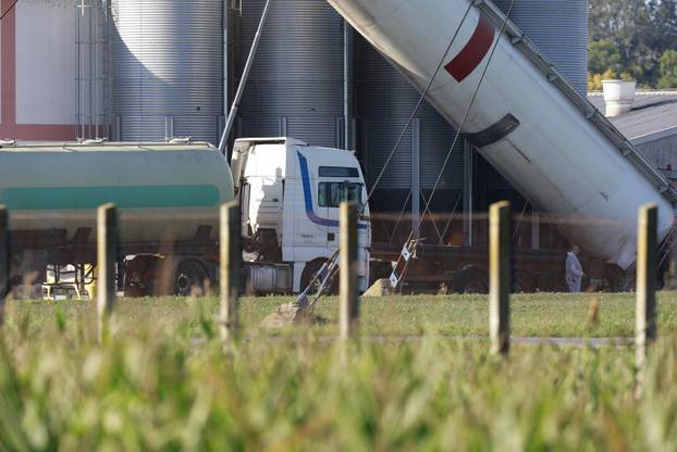 Sokolovac: Kreće eutanazija svinja, uvode se novi sigurnosni protokoli