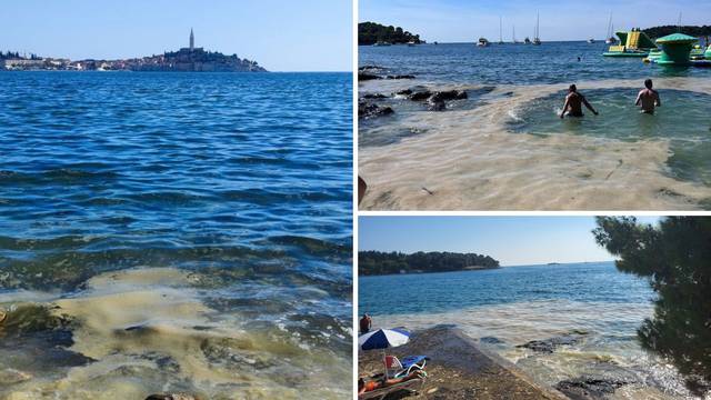 VIDEO: Turiste zgrozile plaže u Istri: 'Pune su prljavštine i sluzi' Stručnjaci: 'I dalje cvjeta more'