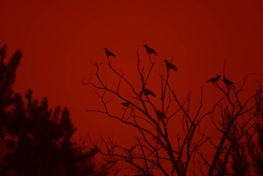 FOTO Prometni kolaps u Grčkoj: Poljak se utopio kod Atene, a Kretu 'obojio' pijesak iz Sahare