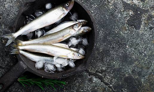 Kako nadoknaditi vitamin D? U ovim namirnicama ga je najviše