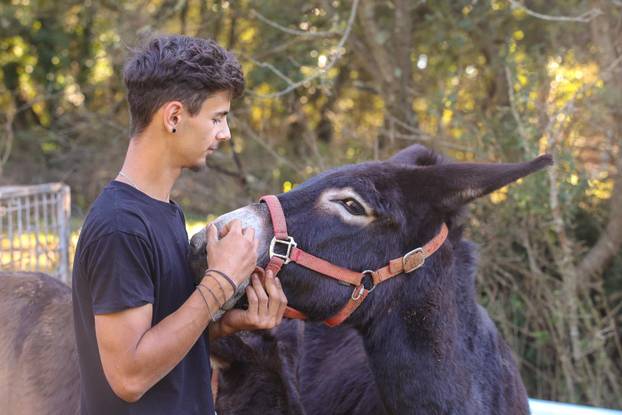 Vodnjan: Za Naj kozu 2025. godine izabrana je koza Jelena, vlasnika Mattea Muškovića 