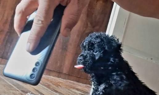 'U ovom štenetu je duh direwolfa iz Igre prijestolja! Njegove moći su čudesne...'