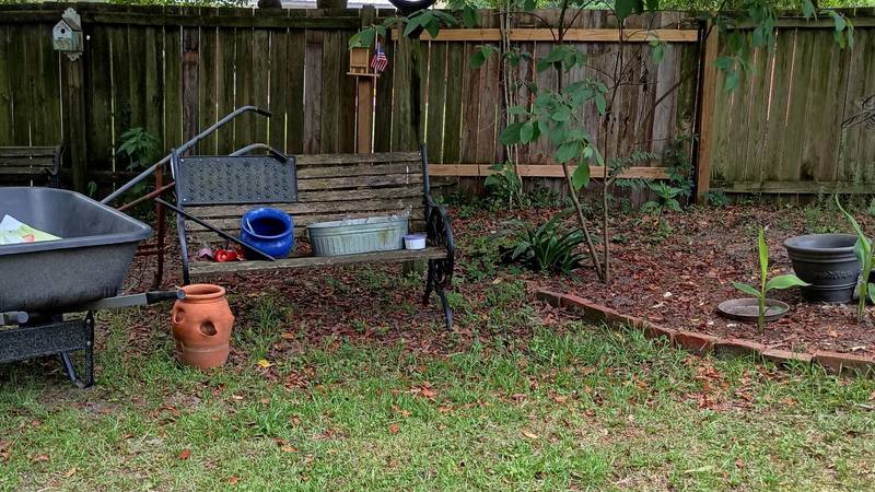 Optička varka koja je izludjela internet: 'Mic-mic, ne možemo naći mačku na slici!' Vidite li ju?