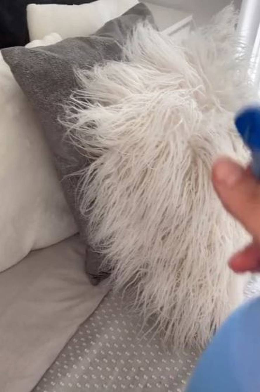 Za što sve koriste omekšivač za rublje - za prašinu, radijatore, vrata, kao osvježivač zraka...