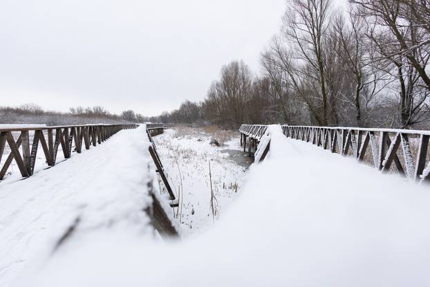 Kopački rit: Zimska idila u Baranji 