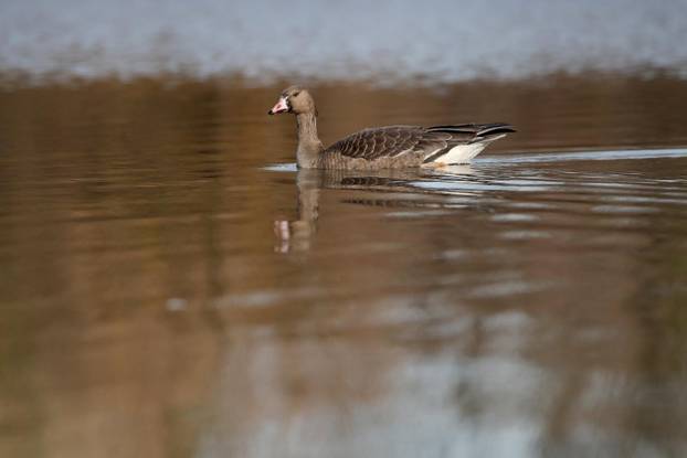 Sunčan dan na jezeru Savica