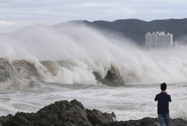 A man looks at a high wave caused by Typhoon Hinnamnor in Ulsan