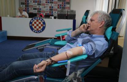 Akcija dobrovoljnog darivanja krvi u prostorijama Hajduka...