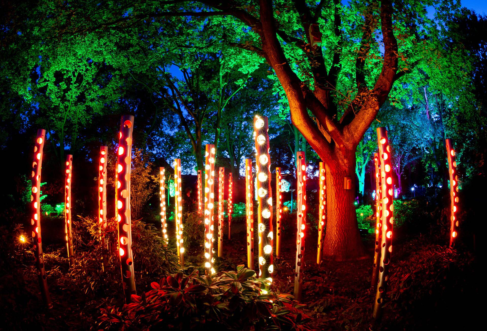 Festival svjetla