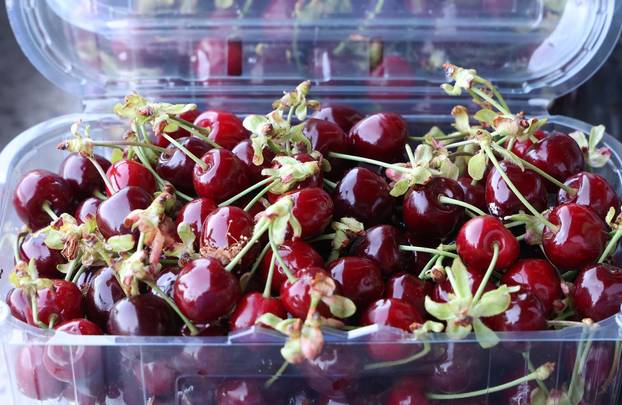 Šibenik: Stigle prve ovogodišnje trešnje po lanjskoj cijeni