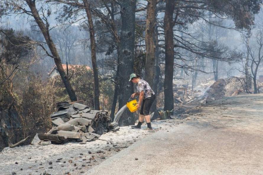 Grgo Jelavić/Pixsell