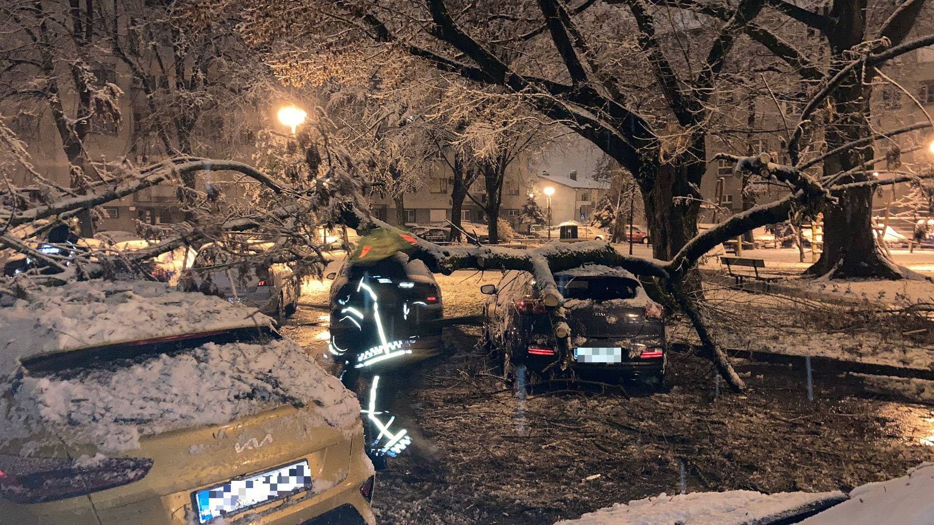 VIDEO U Zagrebu palo drvo i oštetilo tri auta: 'Moglo je pasti na dijete. Sve nas je probudilo'