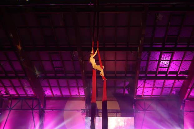 Đakovo: Božićni bal lipicanaca 