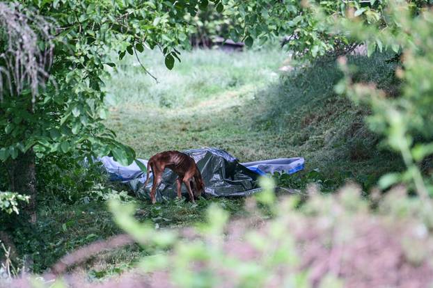 24sata Vanici: Zbog zanemarivanja uginulo više pasa