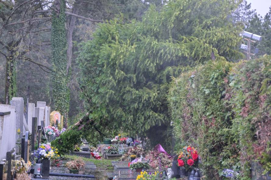 Zagreb: Teško oštećeno gradsko groblje Mirogoj