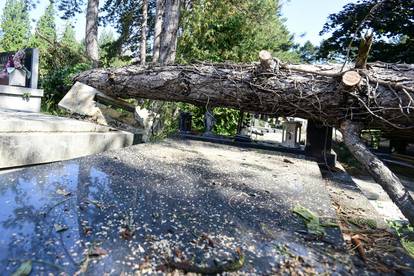 Zagreb: Olujno nevrijeme poharalo Mirogoj, stabala padala po grobovima 
