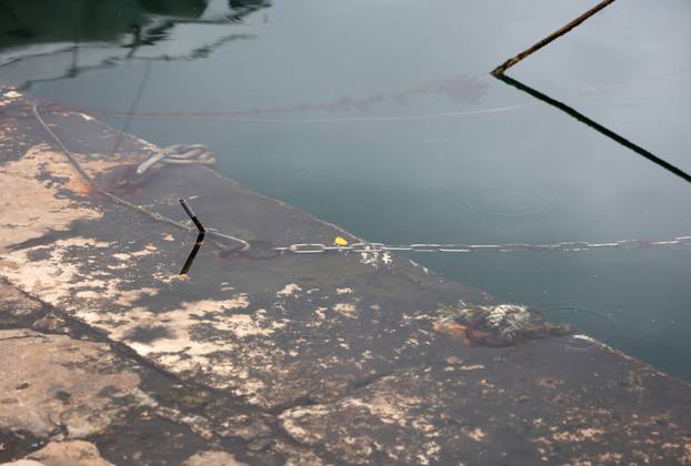 Šibenik: Jugo potopilo Dolac, cijela riva je pod morem