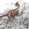Paklena kokoš: Mali pernati dinosaur bio je opaka zvijer