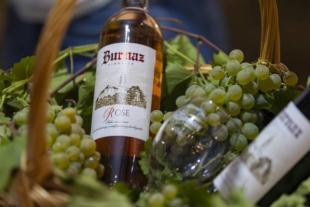 Ilok: Otvorenje 58. Iločke berbe grožđa