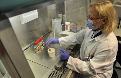 Njemačka objavila: Epidemija Escherichije coli je završila