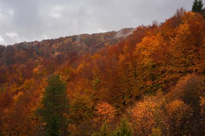 Zavalite se i uživajte: Čarobna jesen na Plitvičkim jezerima