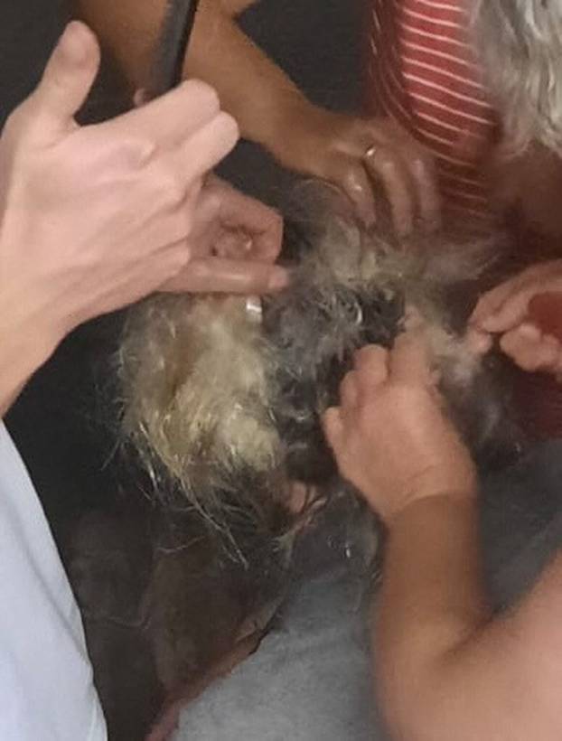 EXCLUSIVE: 'I cried a lot': Woman forced to chop off hair after freak snorkeling accident