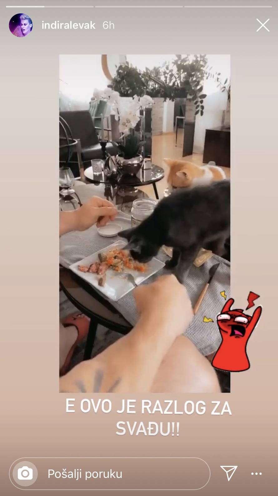 Indira se ljutila na supruga, dao mačkama da mu jedu iz tanjura