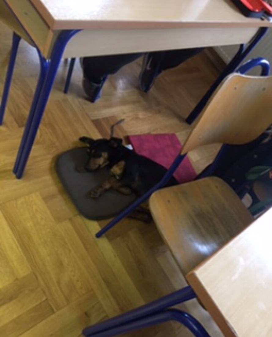 Maxici je škola postala dom, o njoj su brinuli đaci kod Osijeka