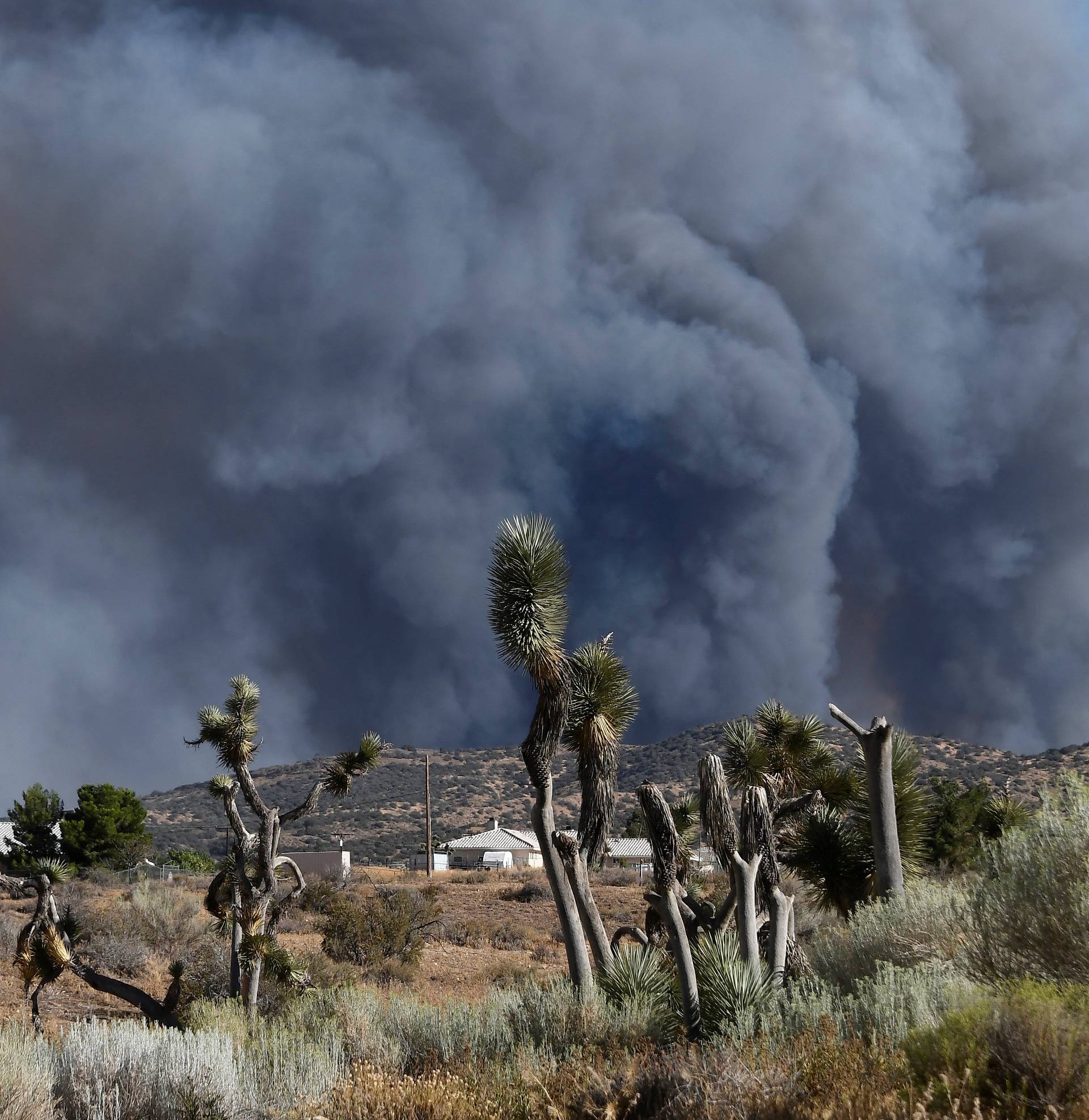 Smoke fills the skies from the so-called Bluecut Fire in San Bernardino County, California