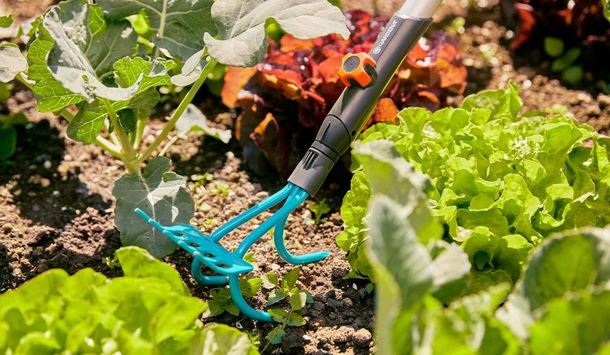 Tri najvažnija savjeta za uspješan rast bilja u vašem vrtu