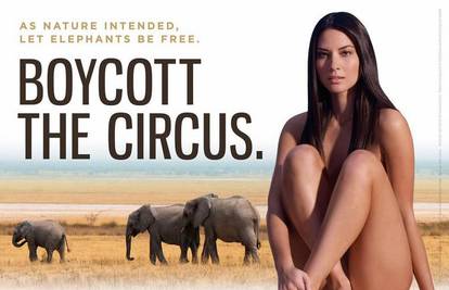 Olivia se golim tijelom bori za prava slonova u cirkusu