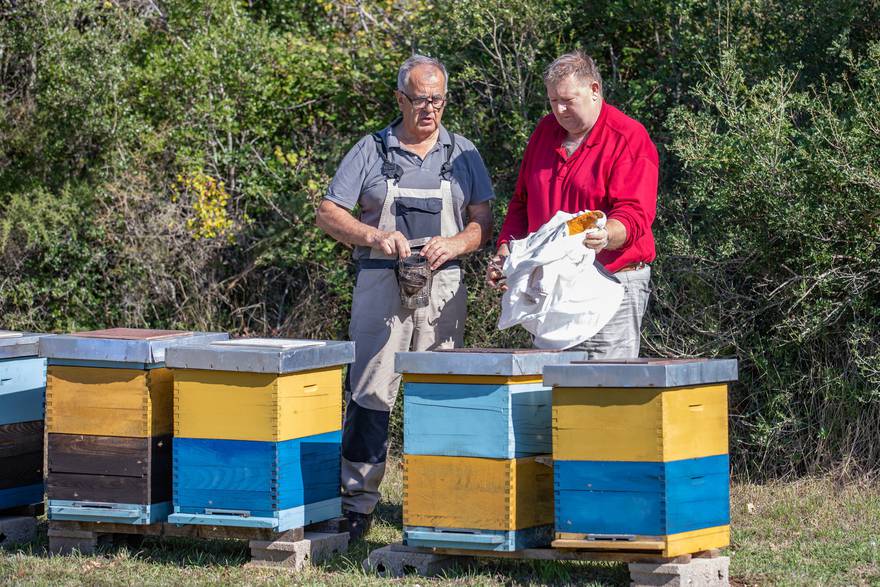 Pčelari iz Hercegovine proizvode pčelinji otrov