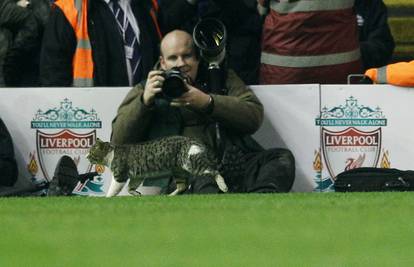 Mačka s Anfielda prekinula je utakmicu pa otvorila Twitter