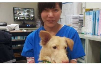 Nije više mogla: Veterinarka se eutanazirala jer je usmrtila pse