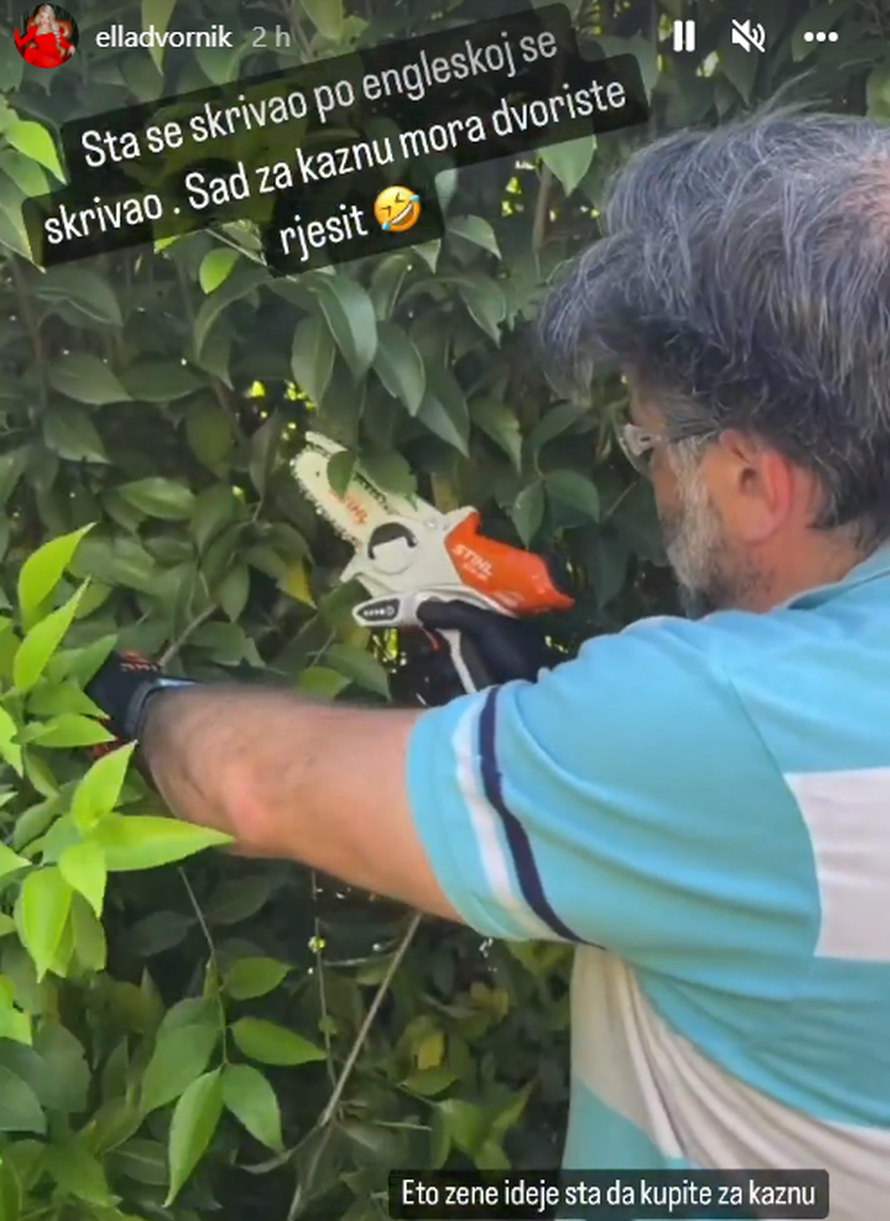 Bivši Elle Dvornik se bacio na posao: Charles se javio iz kuće koju su ranije zajedno kupili...