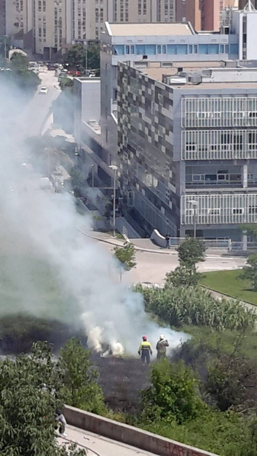 Izbio požar kod Ekonomskog fakulteta, gorjelo nisko raslinje