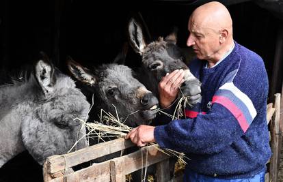'Mi smo Slavonci, ali na našoj farmi uživa četvero magaraca'