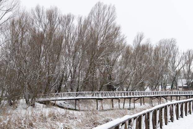 Kopački rit: Zimska idila u Baranji 