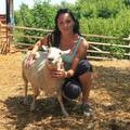 Mlada stočarica: 'Umjesto za ovce, pitaju me za vezu i brak'