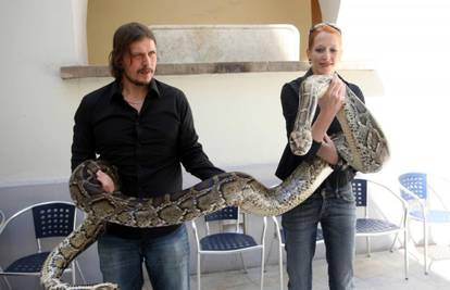 Zagreb 'okupirale' najotrovnije zmije na svijetu! Pogledajte ih