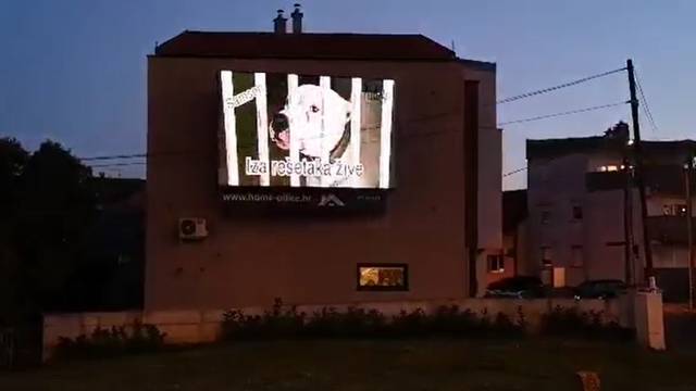 Na velikom ekranu u Zagrebu pokazuju pse kojima traže dom
