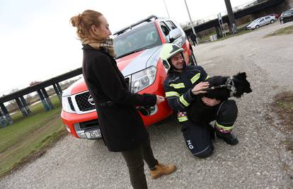 Trčao nasipom pa upao u Savu: Vatrogasci spasili psa Srećka