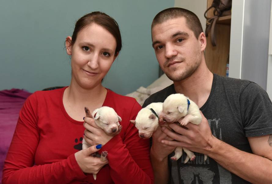 Odbacili skotnu kujicu: 'Lutala je, gladovala i smrzavala se...'